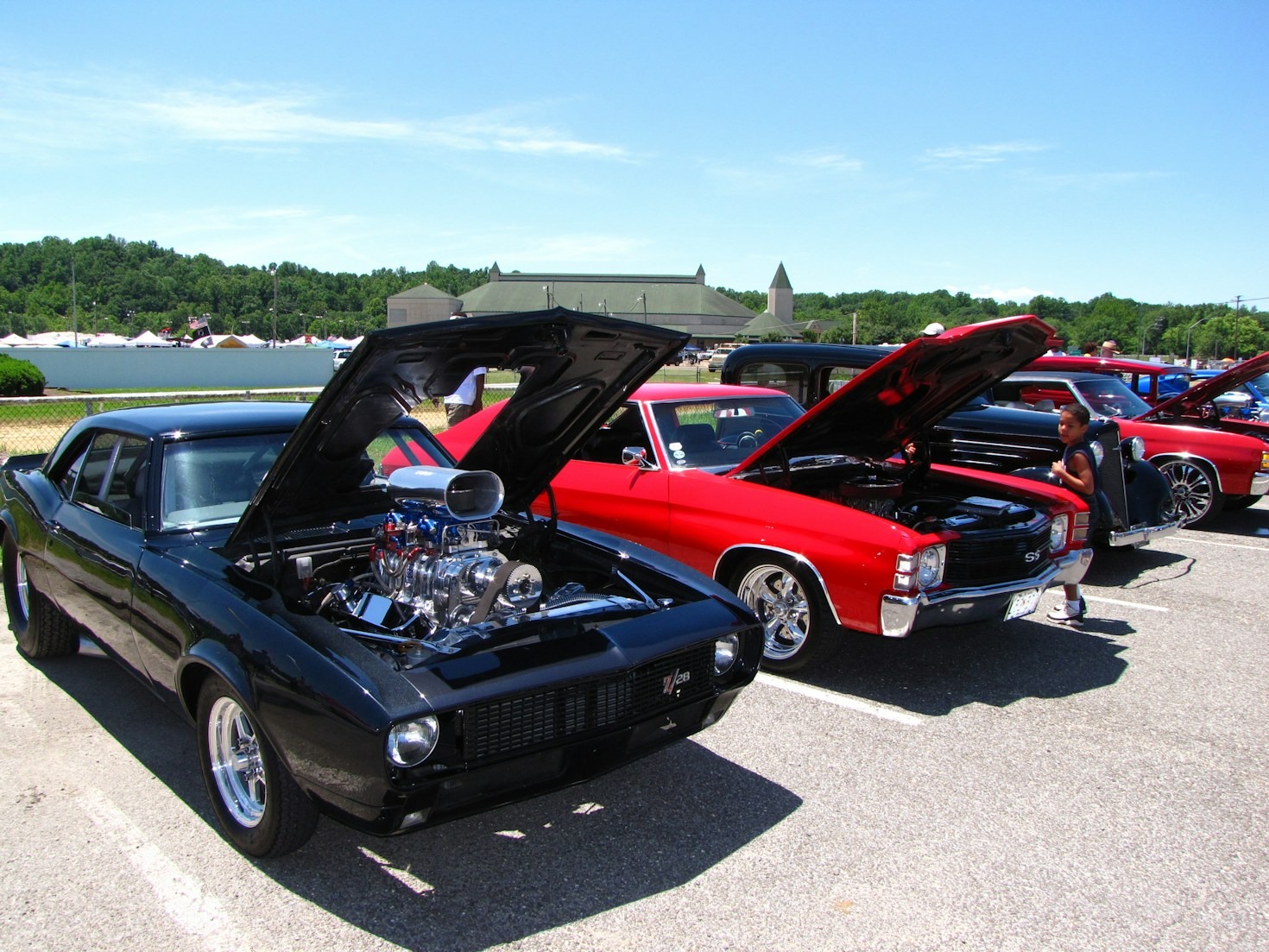 Exploring the Best Cars from Our Monthly Show